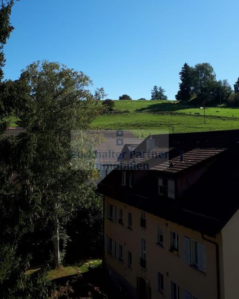 Wohnen + 50 in der Residenz Vivo Köniz / helle 2.5-Zimmer Singlewohnung (8)