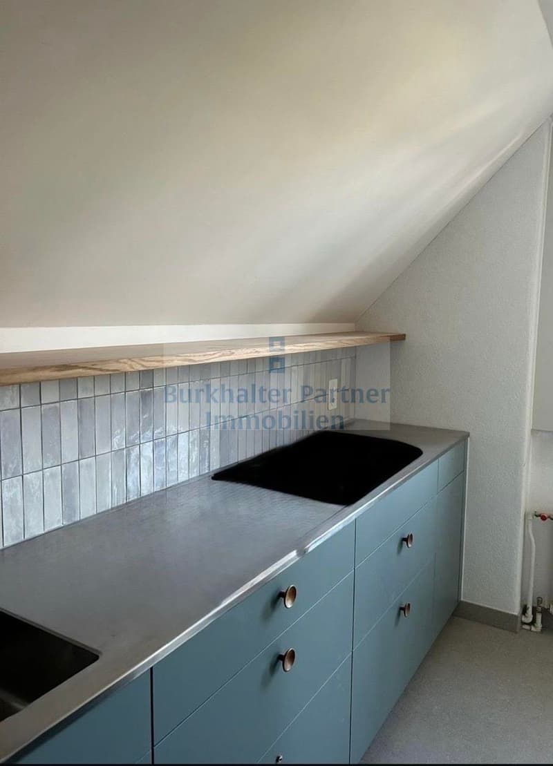 Frisch gesamtsanierte, helle Wohnung mit modernem Wohnkomfort (2)