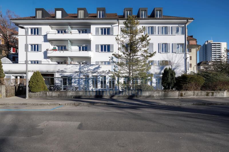 Wunderschöne Dachwohnung mit Galerie in der vorderen Länggasse! (1)