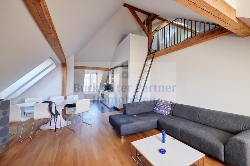 Wunderschöne Dachwohnung mit Galerie in der vorderen Länggasse! (3)