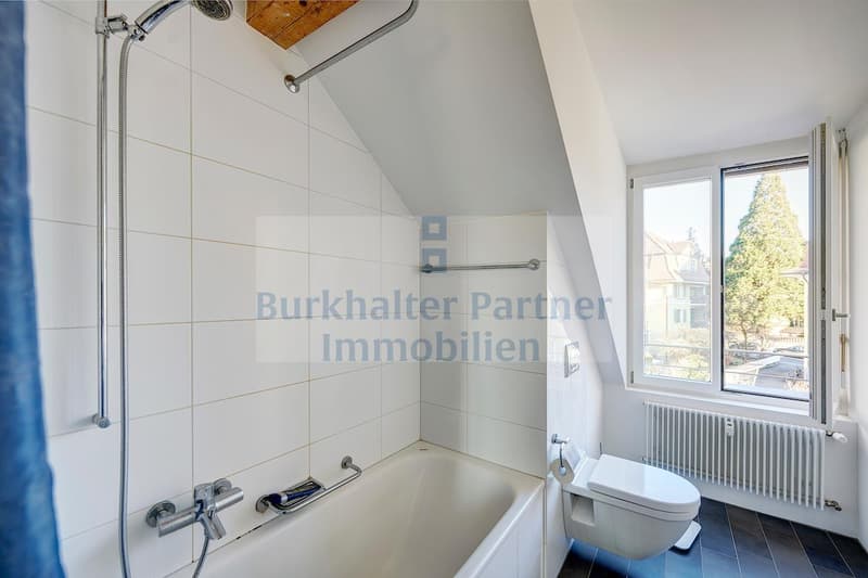 Wunderschöne Dachwohnung mit Galerie in der vorderen Länggasse! (2)
