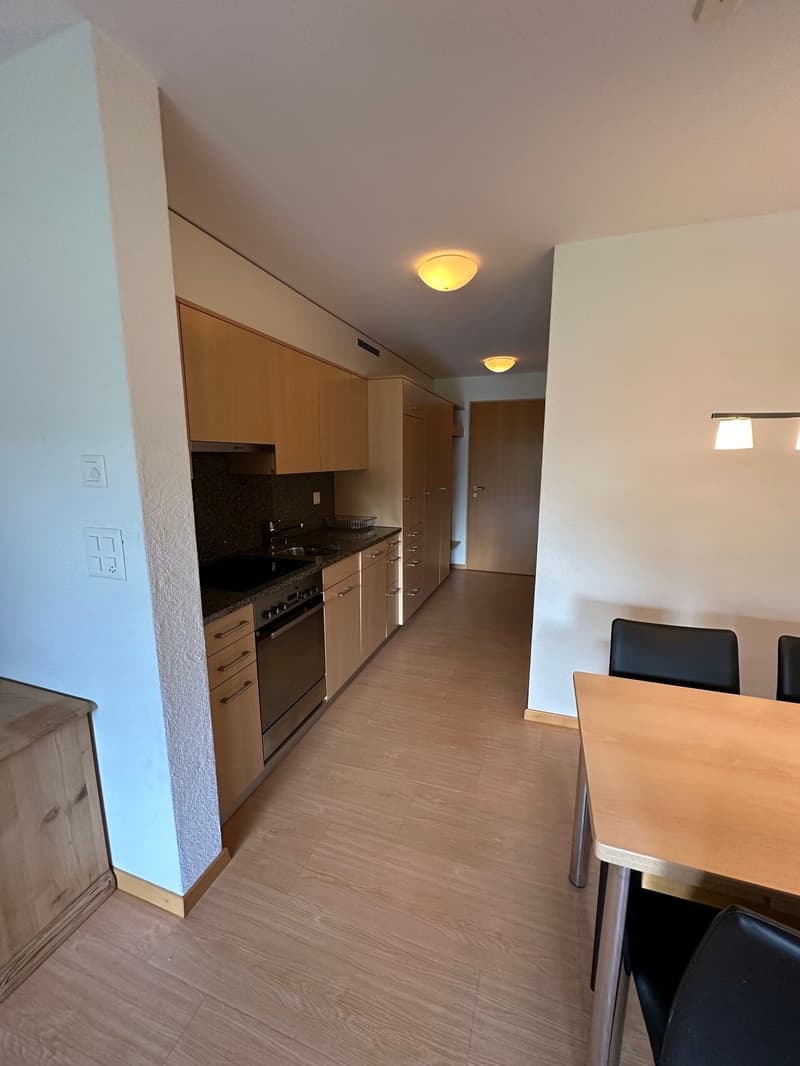 modern kitchen with wooden cabinets, granite countertops, stainless steel appliances, open plan dining area, large windows