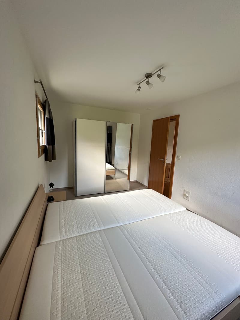 two twin beds, built-in closet, window, mirror, overhead lights