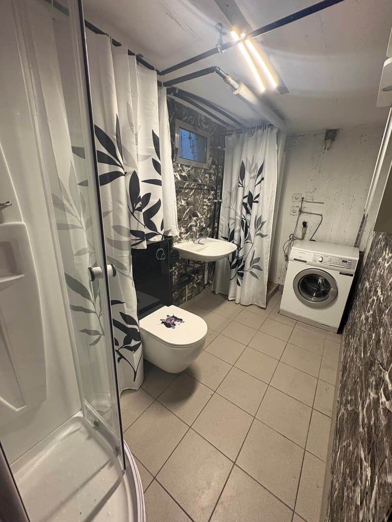 Ampia casa unifamiliare di 4,5 locali a Brienz – disponibile immediatamente! (19)