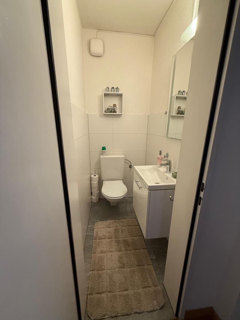 Bright 5.5-room apartment in Thusis – available immediately! (9)