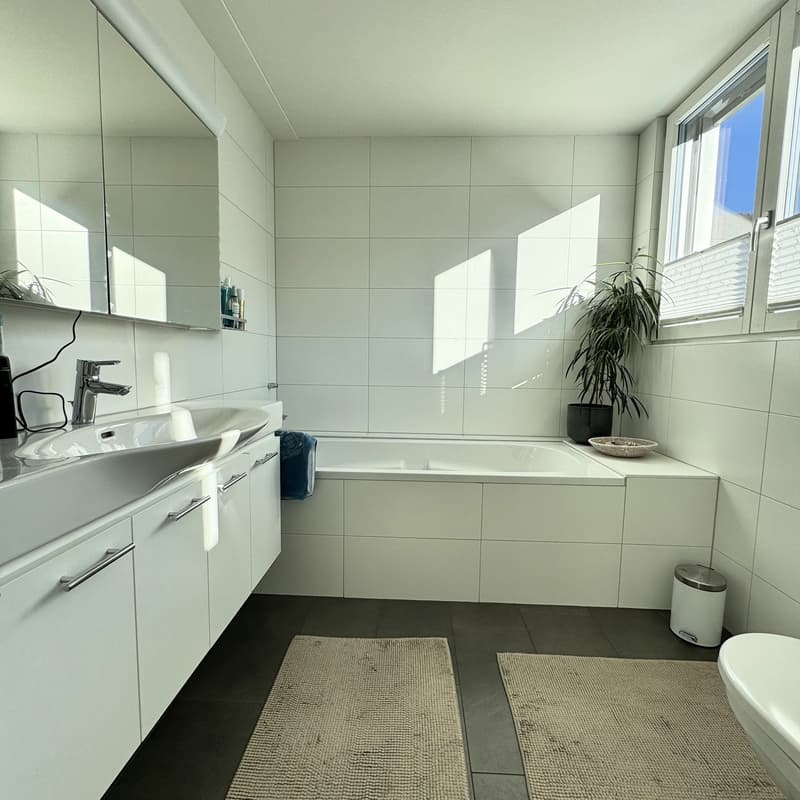 Highest comfort above the roofs of Oberdorf (10)