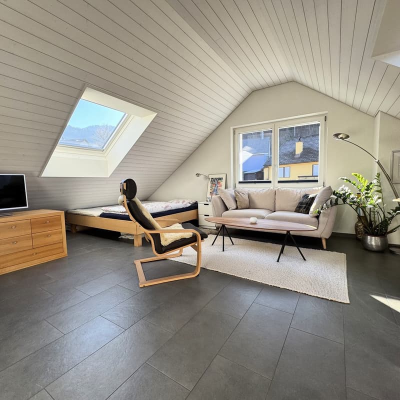 Highest comfort above the roofs of Oberdorf (6)
