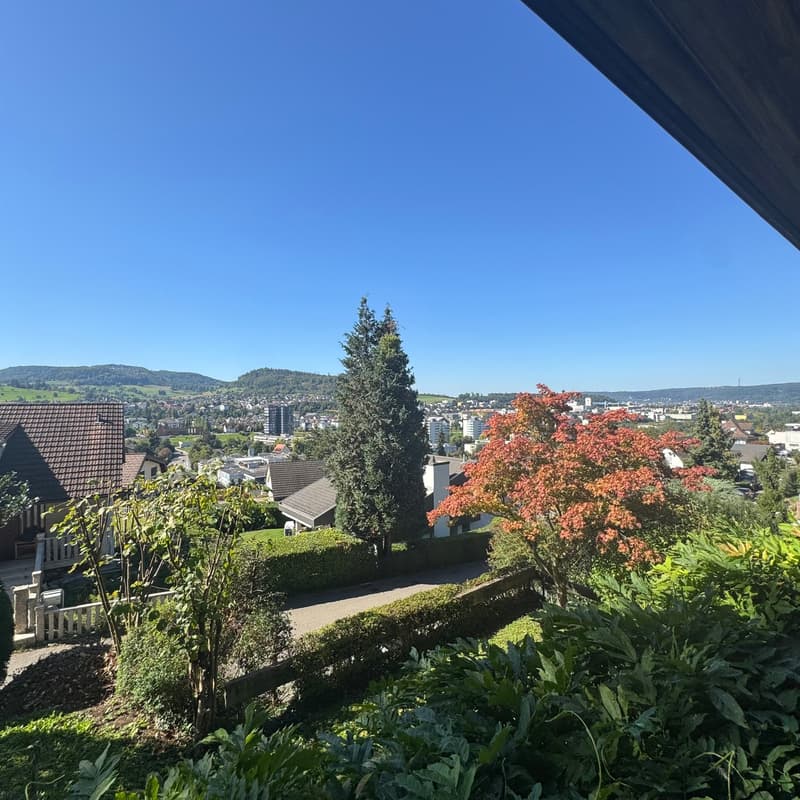 Garden with trees, bushes, grass, plants, view of the houses and the city behind.