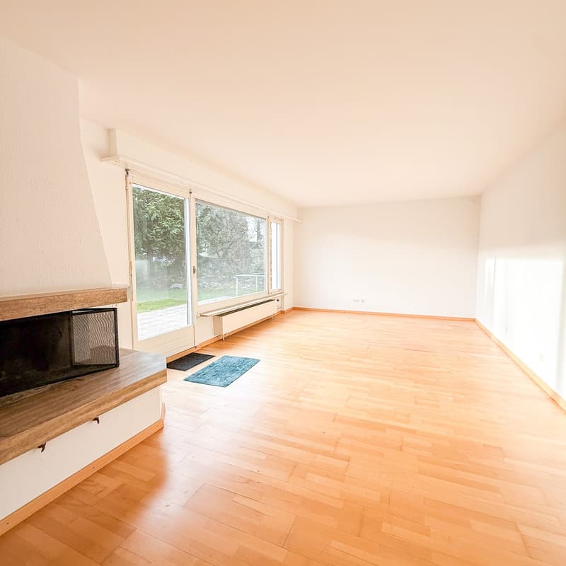 Wooden floor, fireplace, sliding doors, sliding windows, radiator