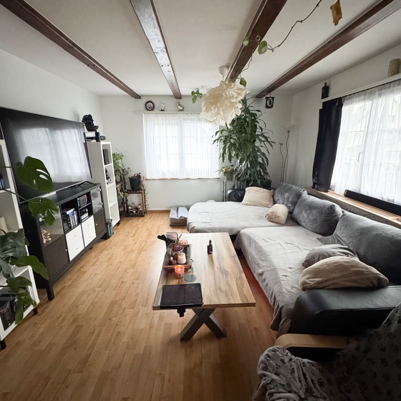 Living room with wooden floor, sofa with pillows, coffee table, entertainment center, potted plants, and TV