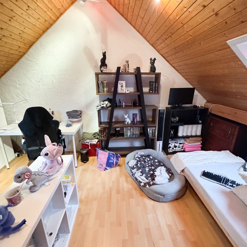Small attic room with wooden walls, a desk, computer chair, dog bed, white shelves, books, a TV, keyboard and mouse