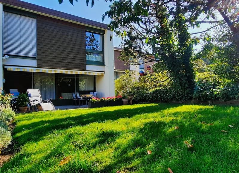 Lawn, patio, chairs, outdoor table, potted plants, house with terrace, canopy