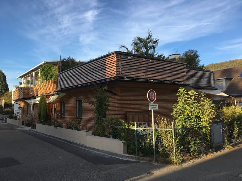 5.5-room single-family house with unique rooftop terrace (18)