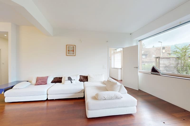 5.5-room single-family house with unique rooftop terrace (4)
