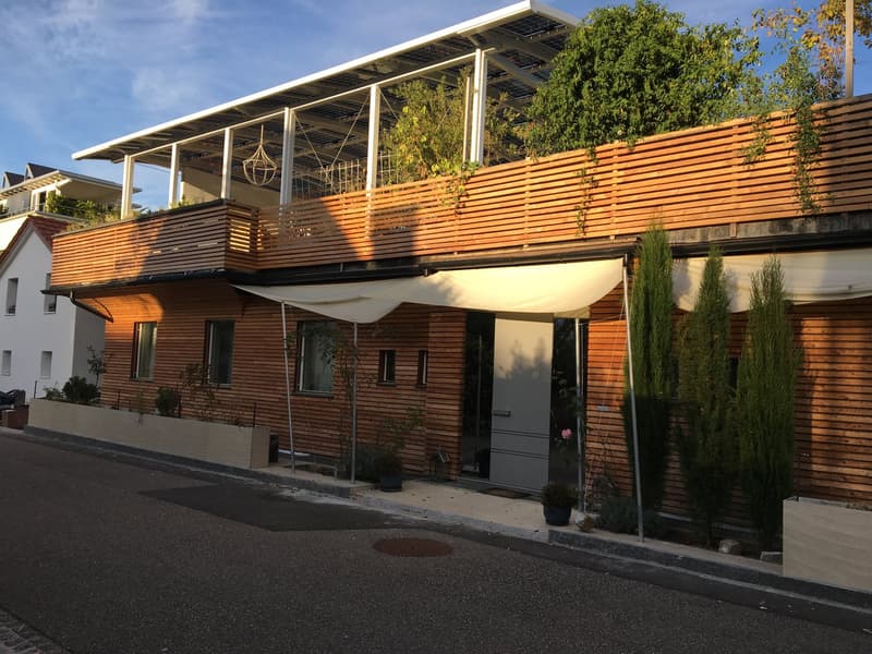 5.5-room single-family house with unique rooftop terrace (2)