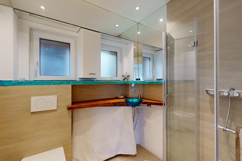 5.5-room single-family house with unique rooftop terrace (13)
