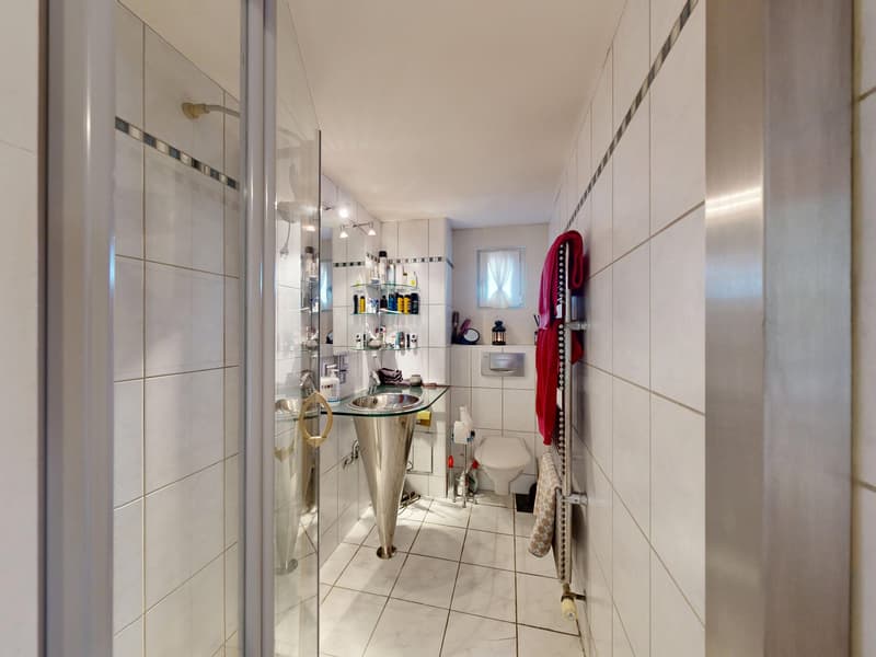 House with versatile usage possibilities (21)