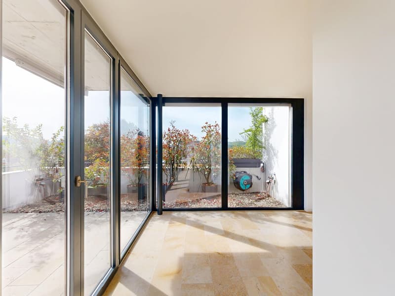 4.5-Room Terrace Apartment with Breathtaking Views (8)