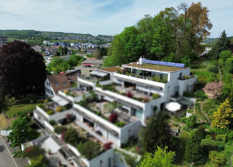 4.5-Room Terrace Apartment with Breathtaking Views (3)