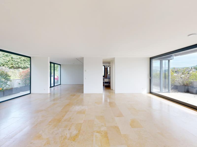 4.5-Room Terrace Apartment with Breathtaking Views (6)
