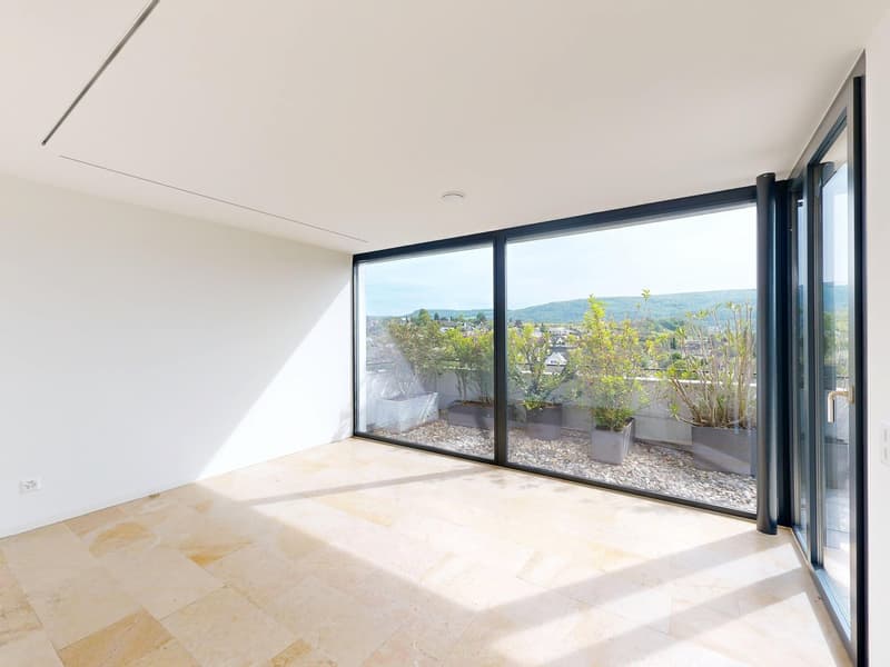 4.5-Room Terrace Apartment with Breathtaking Views (10)