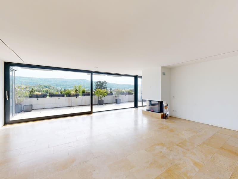 4.5-Room Terrace Apartment with Breathtaking Views (4)
