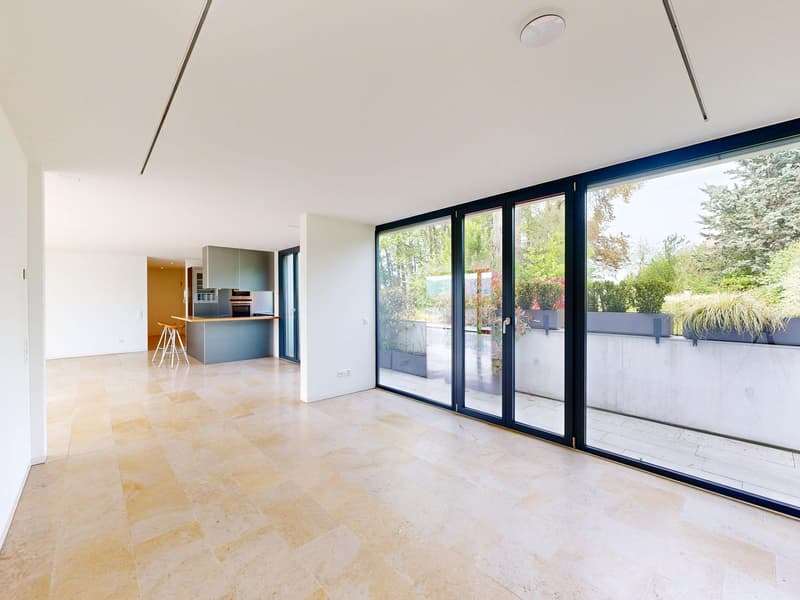 4.5-Room Terrace Apartment with Breathtaking Views (7)