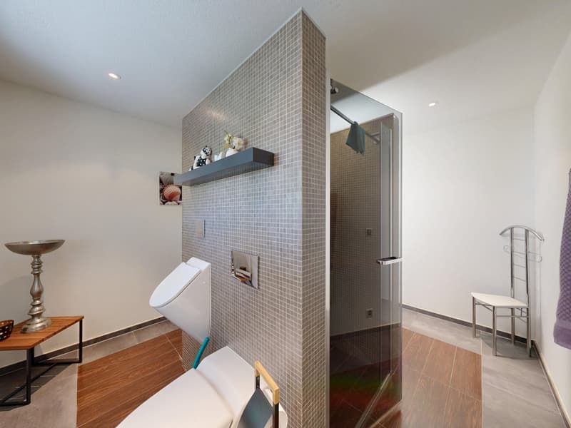 Exclusive 5.5-room single-family house in a quiet location (10)