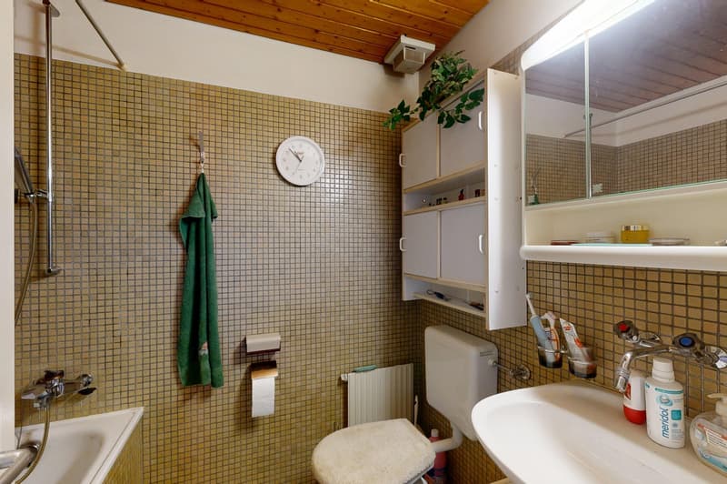 6.5-room corner house with spacious garden (8)