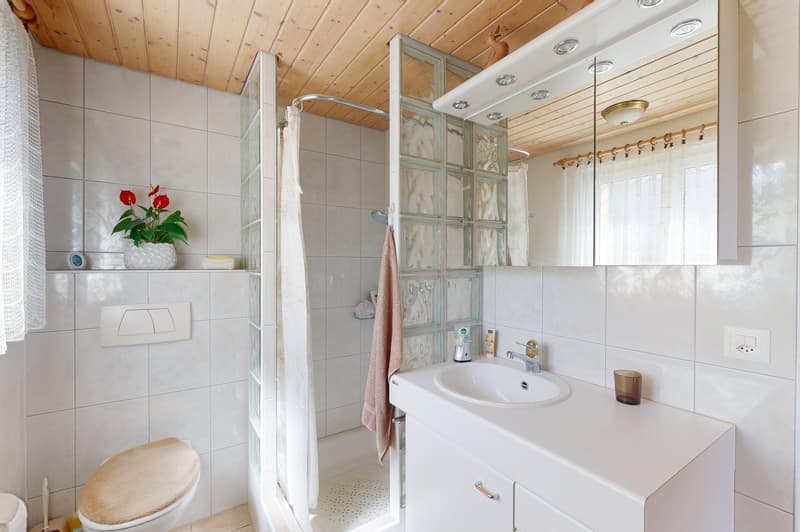 6.5-room corner house with spacious garden (7)