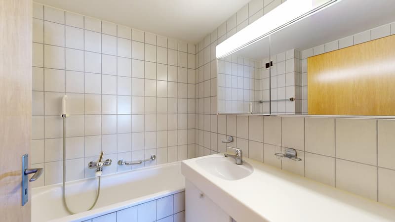 Appartement attractif de 4,5 pièces dans un quartier résidentiel préféré (12)