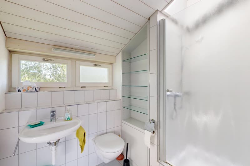 Maison de famille exclusive de 5,5 pièces avec espace extérieur spacieux (13)