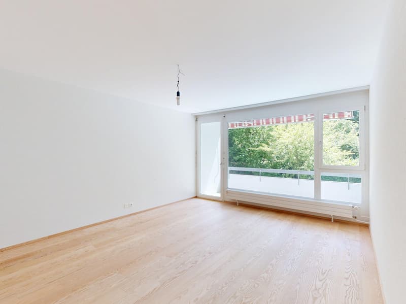 Appartamento luminoso 3.5 locali con balcone a Binningen (5)
