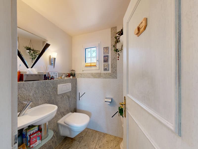 Stylish 6.5-room single-family house in top location in Münchenstein (7)