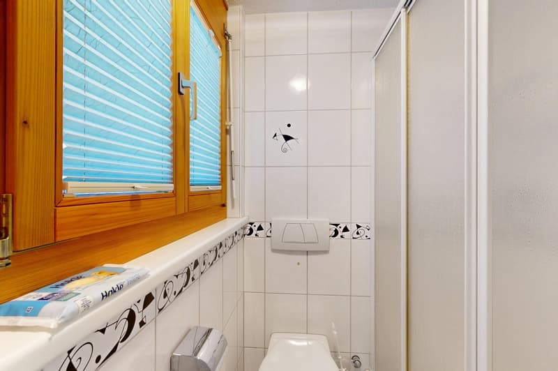 Appartamento a mansarda di 3,5 locali con vista imprenabile (10)