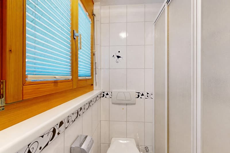 3.5-Zimmer Maisonettewohnung mit unverbaubarem Ausblick (10)