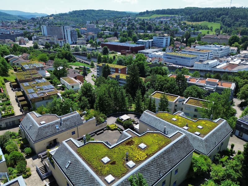 Appartamento a mansarda di 3,5 locali con vista imprenabile (18)