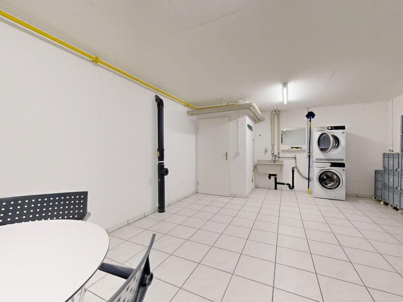 Zentrale 3.5-Zimmer-Dachwohnung (9)