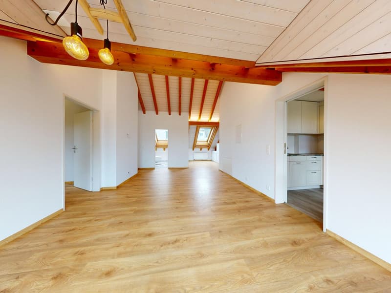 Zentrale 3.5-Zimmer-Dachwohnung (1)