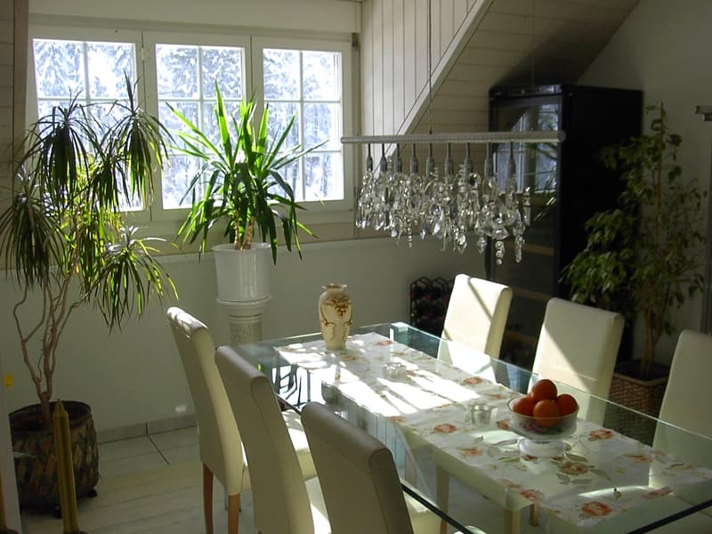 6-Zimmer Dach- Maisonette-Wohnung mit Wintergarten und schöner Terrasse (5)