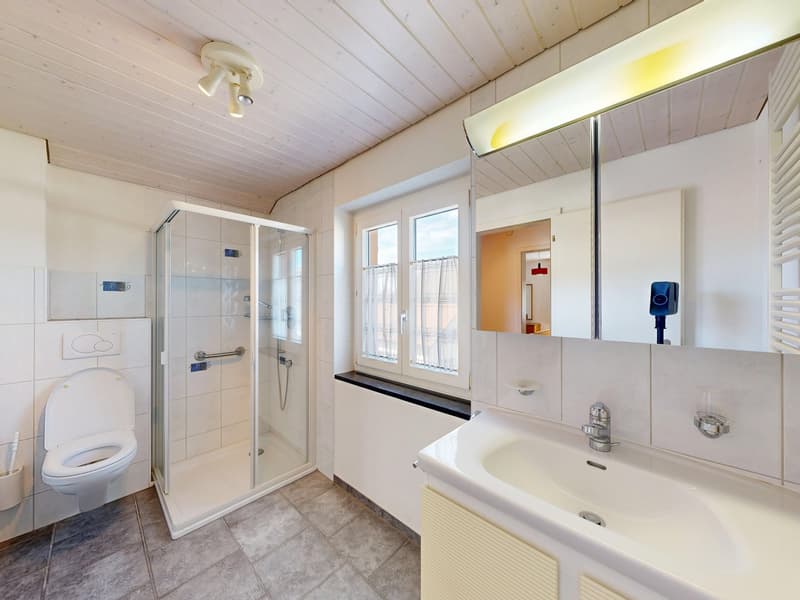 4.5-Zimmer-Einfamilienhaus in idyllischer Umgebung (10)
