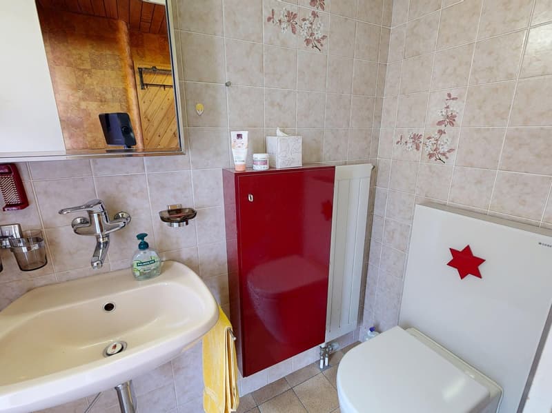 5.5-Zimmer Doppelhaushälfte an beliebter Wohnlage in Muttenz (7)