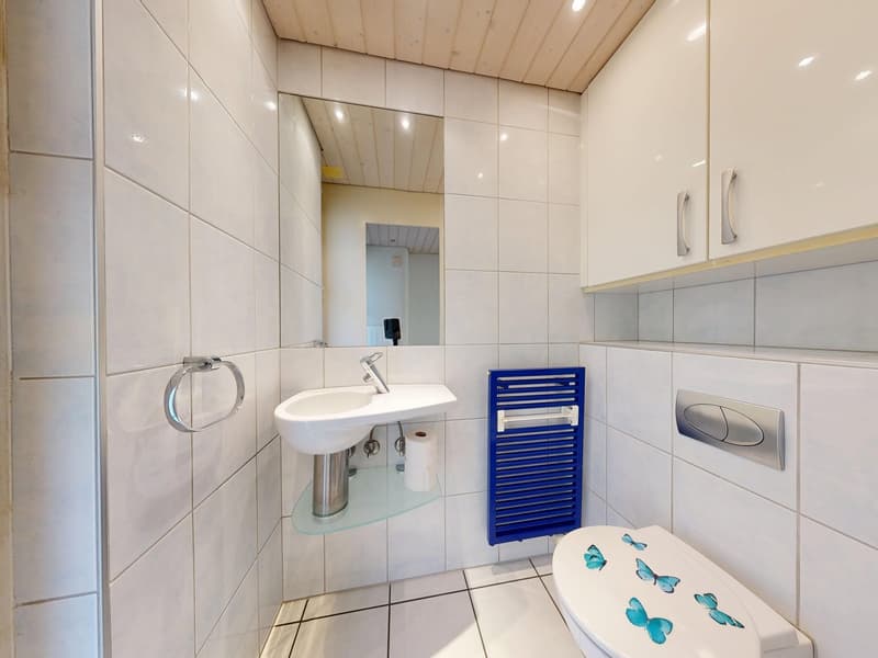 5-Zimmer-Einfamilienhaus mit eigener Naturoase (10)