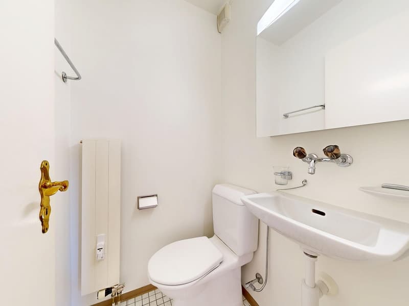 3.5-Zimmer Eigentumswohnung mit 3 AEHP und 2 Hobbyräumen (10)