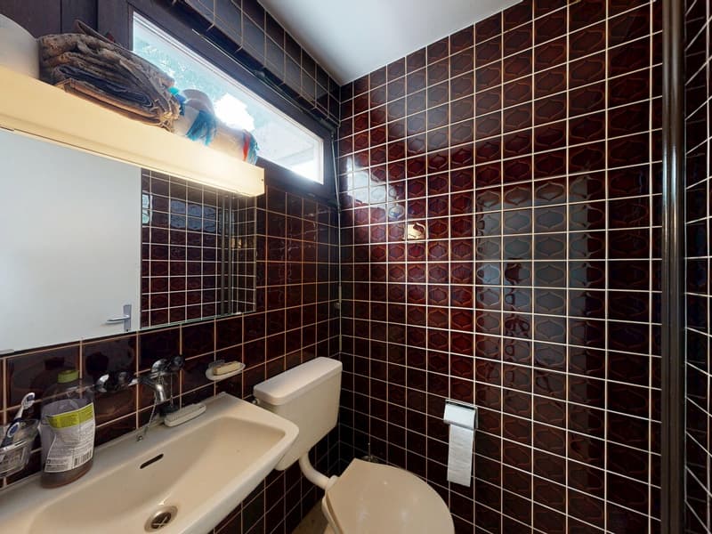 Grosszügiges 5.5-Zimmer-Doppelhaus mit vielseitigem Ausbaupotenzial (7)