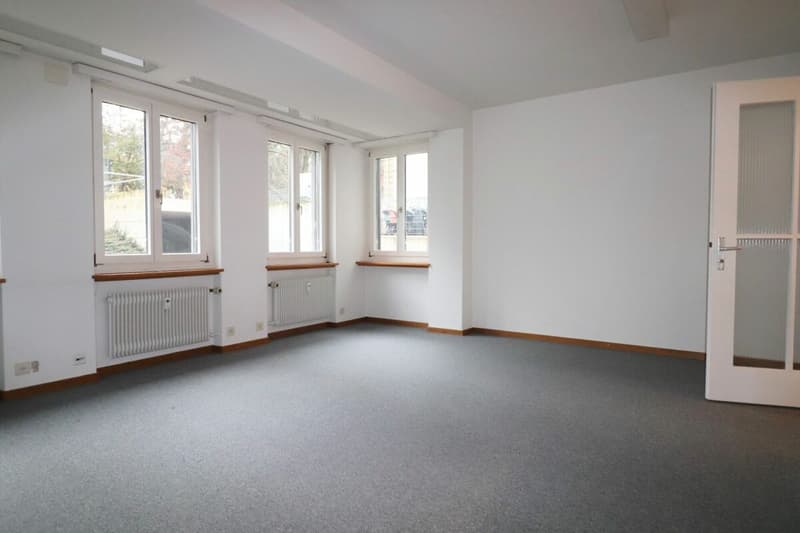 Office/Therapy Rooms near Aeschenplatz and SBB Train Station (1)