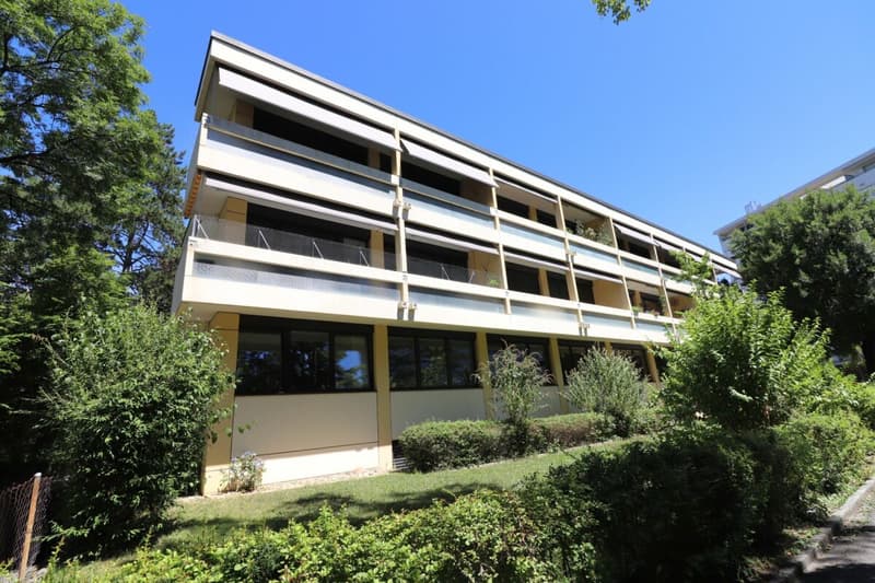 Uffici/stanze di terapia moderne a Gellert (10)