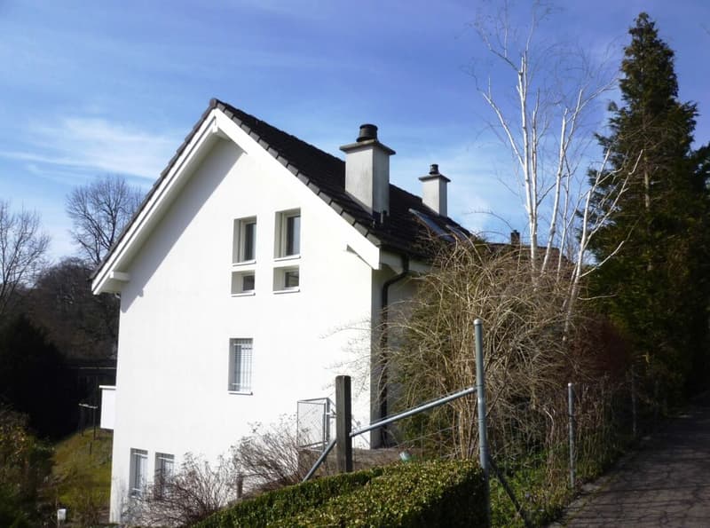 Im Wenkenberg 4, Riehen