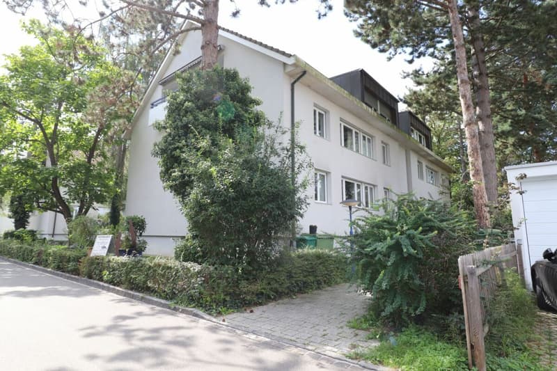Vivre à Riehen - appartement spacieux 3 1/2 pièces avec chambre mansardée supplémentaire dans une rue de quartier calme (12)