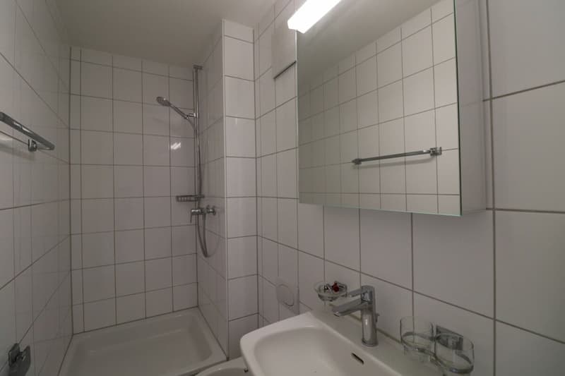 Vivre à Riehen - appartement spacieux 3 1/2 pièces avec chambre mansardée supplémentaire dans une rue de quartier calme (8)